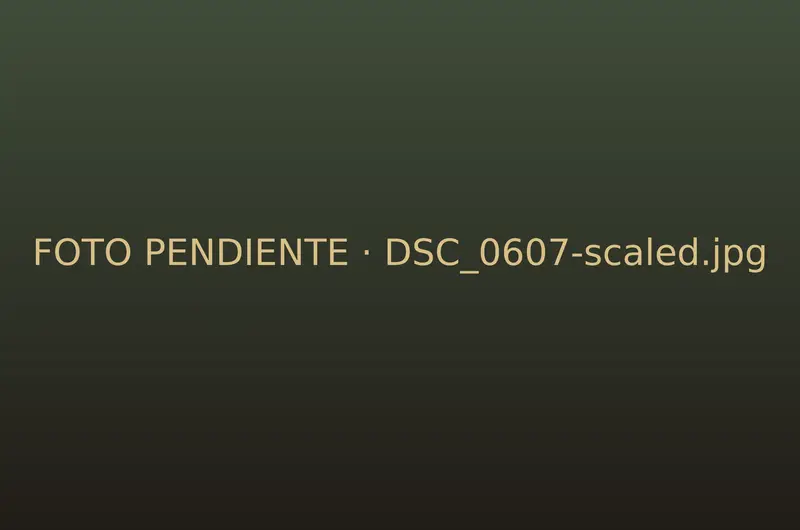 Cabina de masaje en penumbra con camillas cubiertas de verde olivo